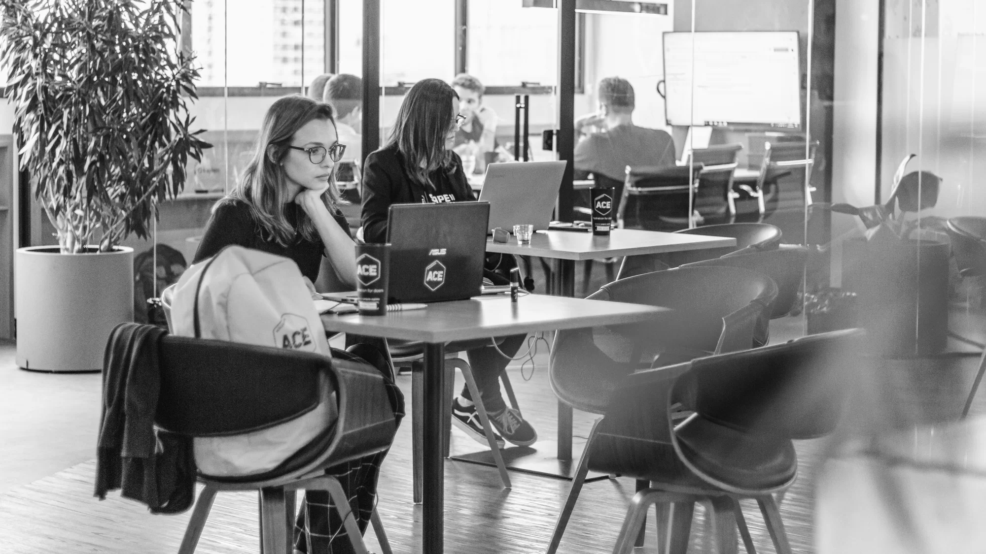 altivia ventures